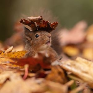 Image post by @rspb on Instagram
