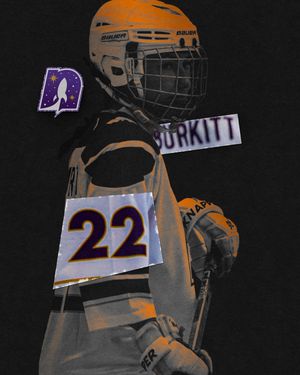 Image post by @nationalballhockeyleague on Instagram