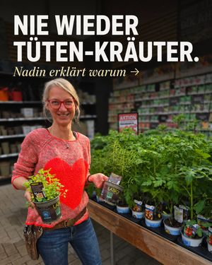 Image post by @oldenburgerwohngarten on Instagram