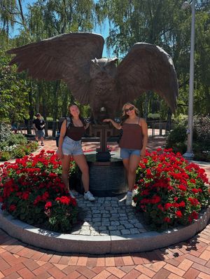 Image post by @templedanceteam on Instagram