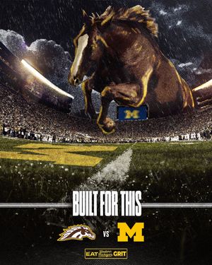 Image post by @wmu_football on Instagram