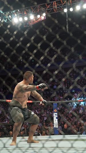 Video post by @ufc on TikTok