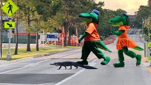 Image post by @albertathegator on Instagram