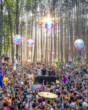Image post by @electric_forest on Instagram