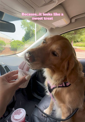 Video post by @byhaleyjo on TikTok