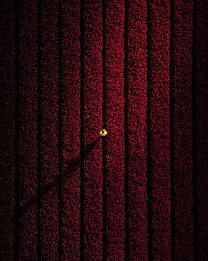 Image post by @droneartgallery on Instagram