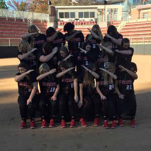 Image post by @ncstatesoftball on Instagram