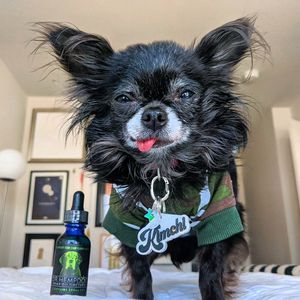 Image post by @drhempdog on Instagram