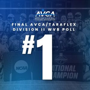 Image post by @lynnvolleyball on Instagram