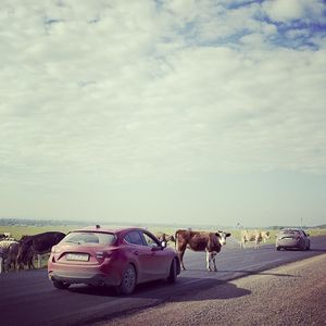 Image post by @mazdausa on Instagram
