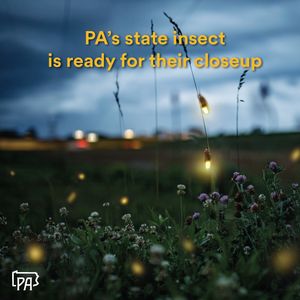 Image post by @pennsylvaniagov on Instagram