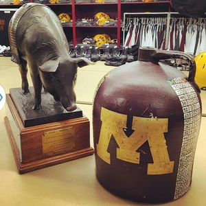 Image post by @gophersoftball on Instagram