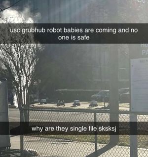 Image post by @uscyikyak on Instagram