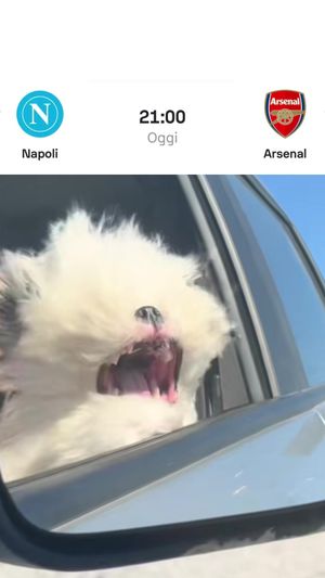 Video post by @sscnapoli on TikTok