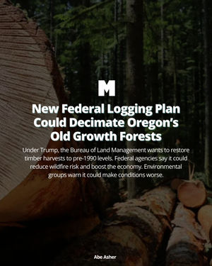 Image post by @portlandmercury on Instagram