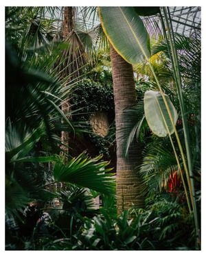 Image post by @stephenlasnickmedia on Instagram