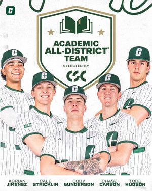 Image post by @charlotte_baseball on Instagram