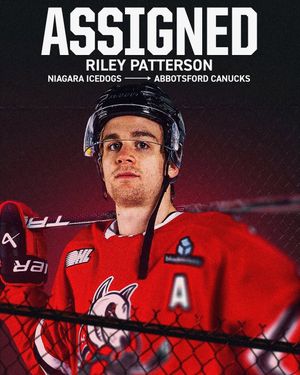 Image post by @ohlicedogs on Instagram