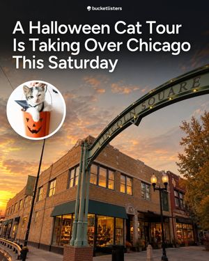 Image post by @chicagobucketlist on Instagram