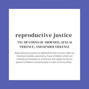 Image post by @circuitsehat on Instagram