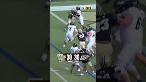 Video post by @cfbonfox on YouTube