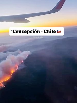 Image post by @cultura_movement on Instagram