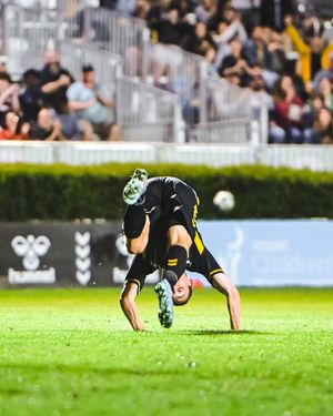 Image post by @charlestonbattery on Instagram