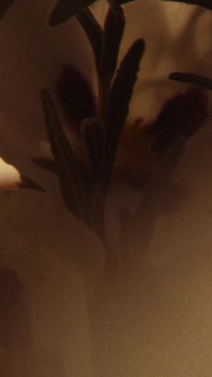 Video post by @jomalonelondon on TikTok