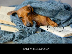 Image post by @PaulMillerMazda on Facebook
