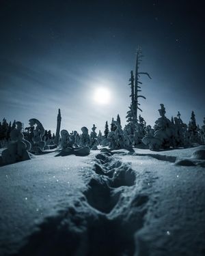 Image post by @samimatias on Instagram
