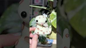 Video post by @shopzoki on YouTube
