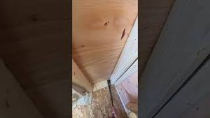 Video post by @specopstools on YouTube