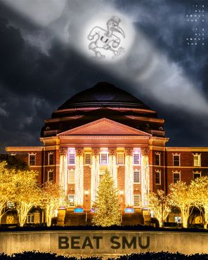 Image post by @um_sebastian on Instagram