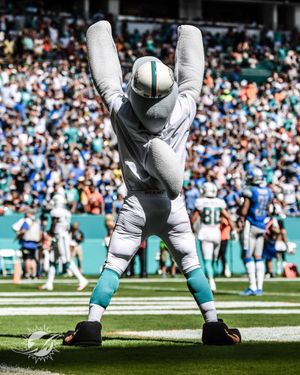Image post by @MiamiDolphins on Twitter