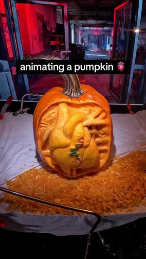 Video post by @samplertimes on TikTok