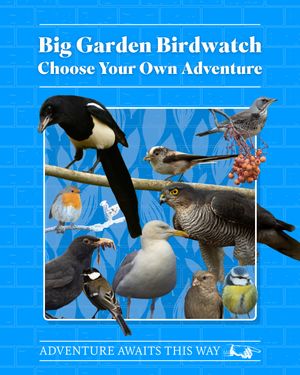 Image post by @rspb on Instagram