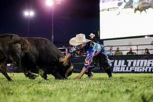 Image post by @ultimatebullfighters on Instagram