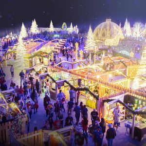 Image post by @thelvballpark on Instagram