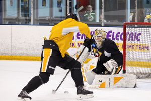 Image post by @wbspenguins on Instagram
