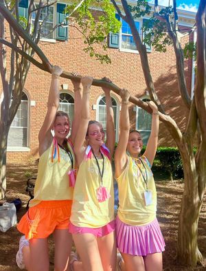 Image post by @samfordpanhellenic on Instagram