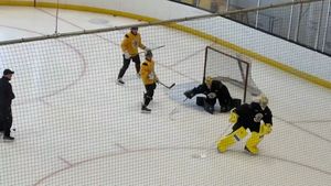 Image post by @goaliegearnerd on Instagram