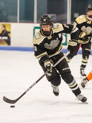 Image post by @honeybakedhc on Instagram