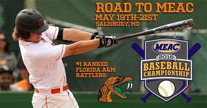 Image post by @famuathletics on Instagram