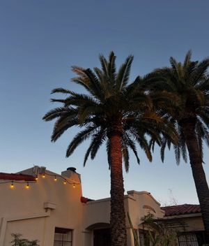 Image post by @aephiarizona on Instagram