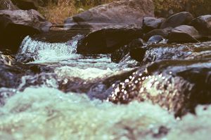 Image post by @W.39thPhotos on Facebook
