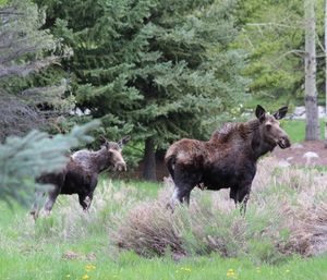 Image post by @arrowheadco on Instagram