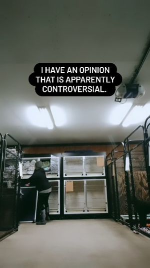Video post by @alyshiafaith on Instagram