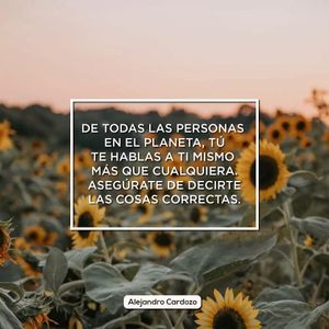 Image post by @alejandrocardozo_oficial on Instagram