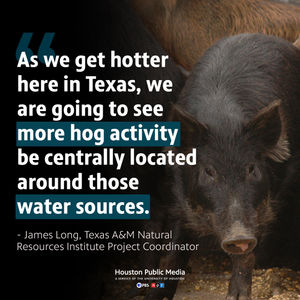 Image post by @houstonpubmedia on Instagram