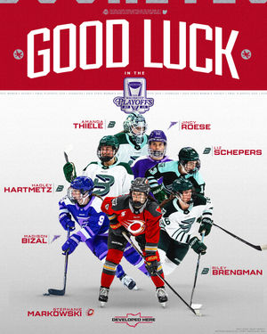 Image post by @ohiostatewhky on Instagram